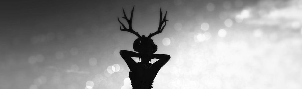 Di carne e di ridicolo. Kundera secondo me