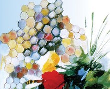 Imparare a legger la crisi ambientale come crisi morale