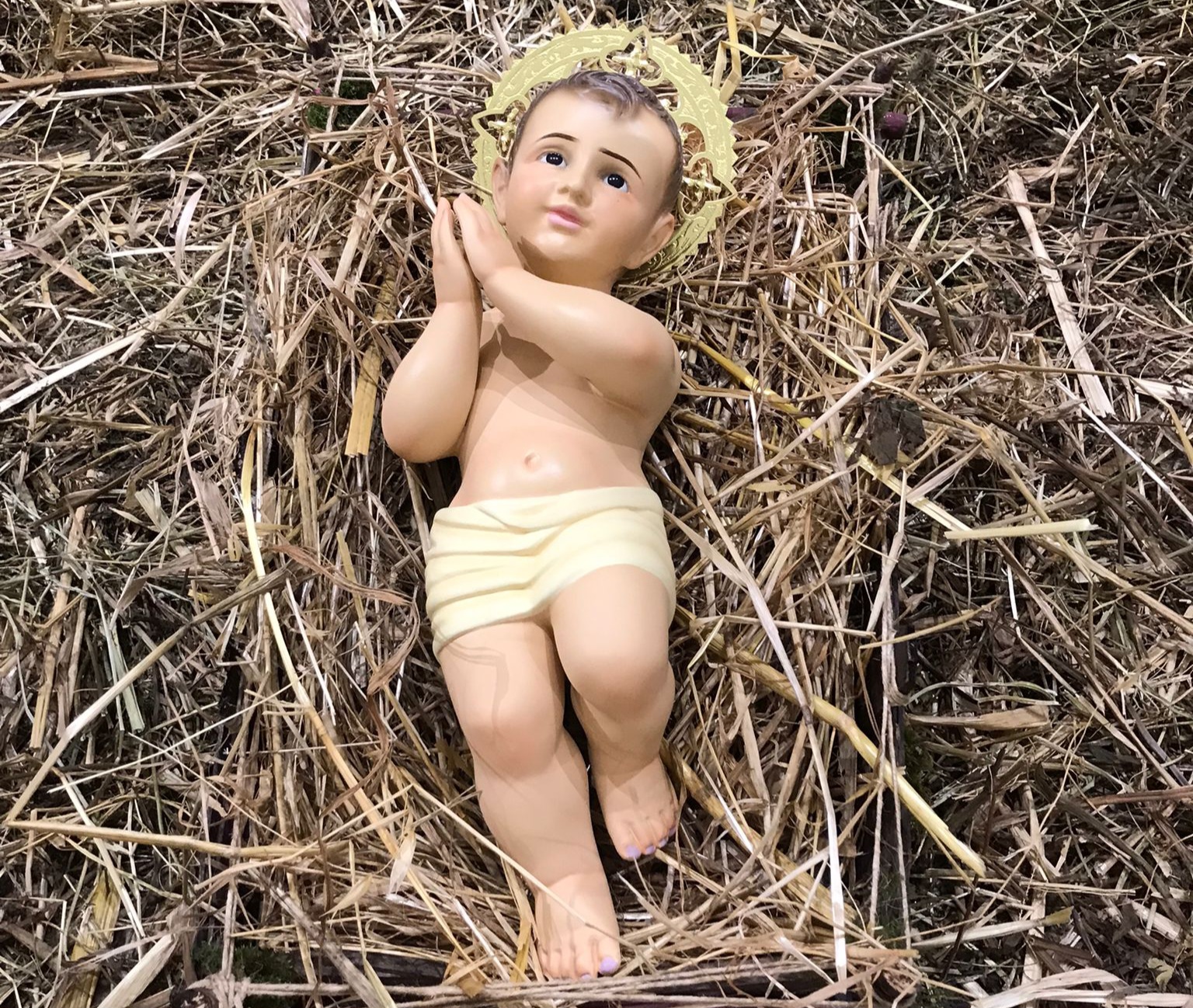 Natale è il dono della vita divina di Cristo