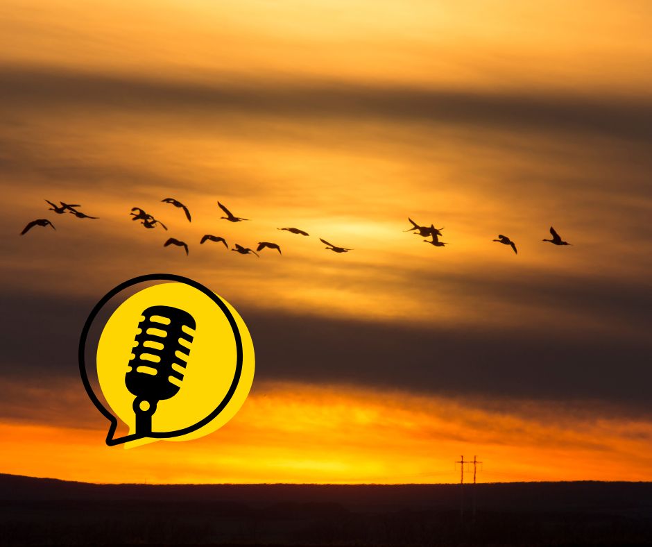 Il nostro nome promemoria per la santità