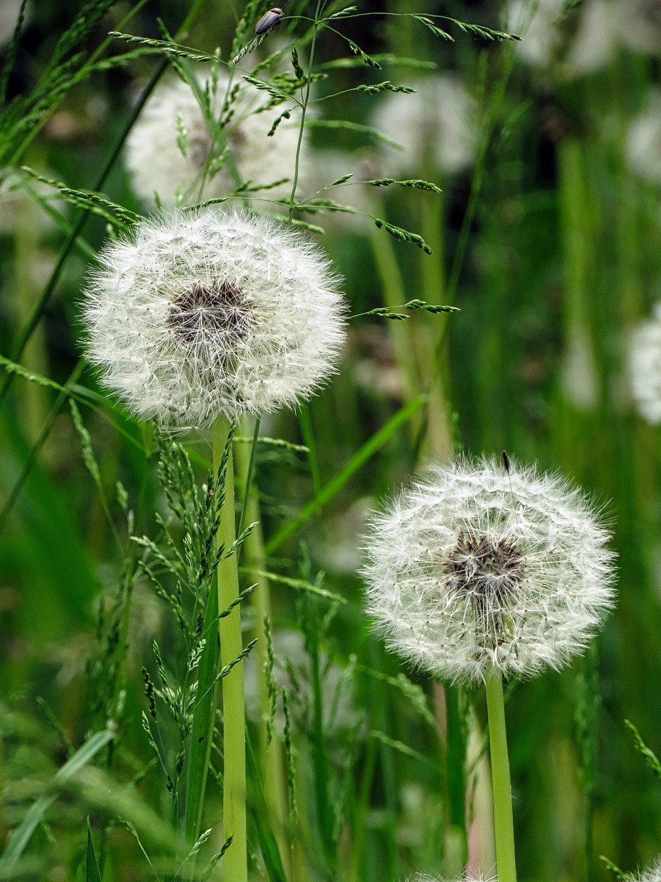 Una formazione nella concretezza e con un ampio orizzonte