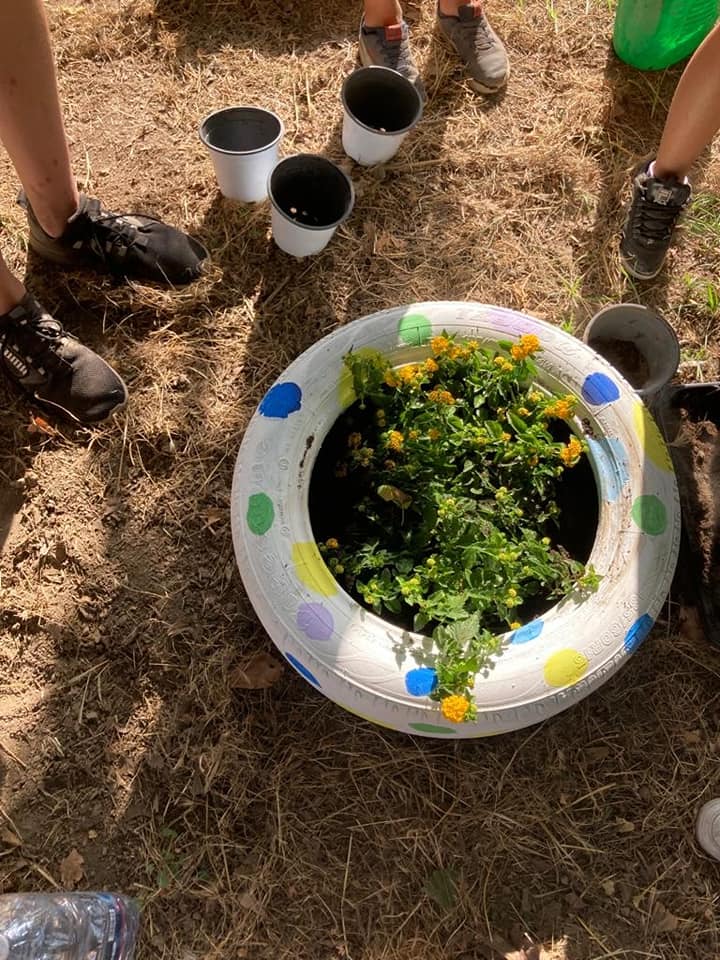 Aiuola colorata dai bambini dell'estate ragazzi a Pontecitra