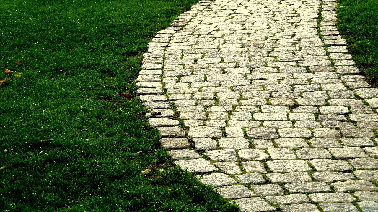 La cultura della cura come percorso di pace