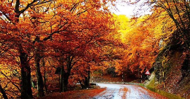 La poesia di Emily Dickinson. Un invito.