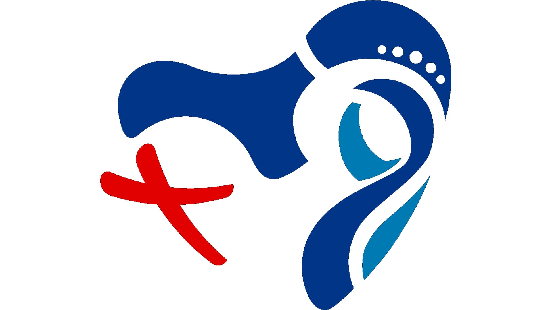 Nola e Acerra insieme per una Gmg oltre le distanze