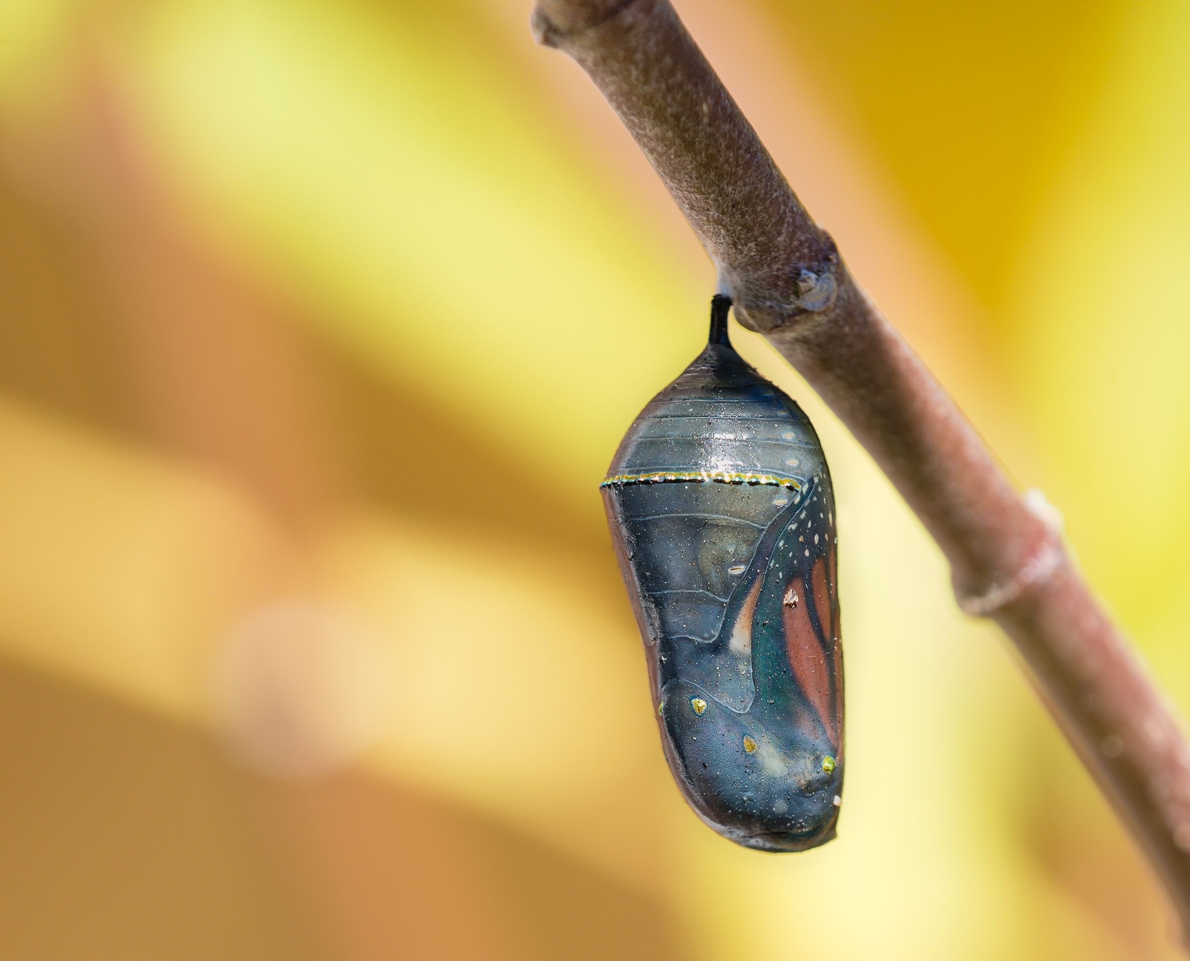 Per una nuova cultura del fare