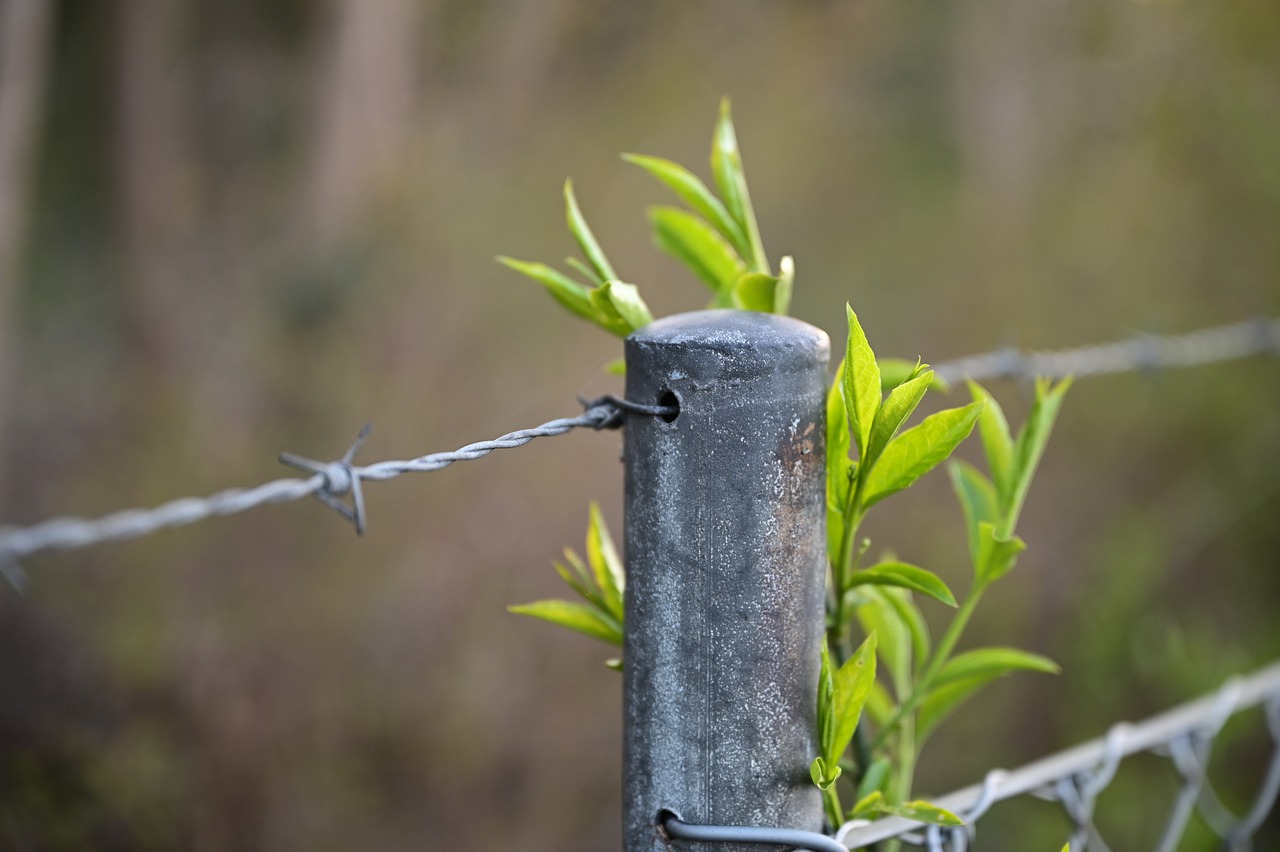Vita di fede in zona rossa