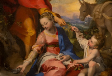 Nella paternità, la volontà di Dio