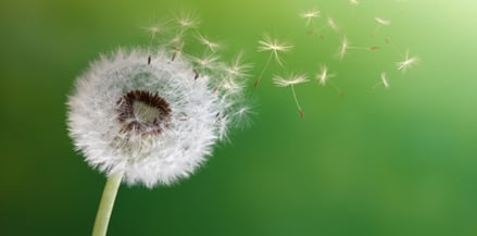 Convertiti dalla Parola