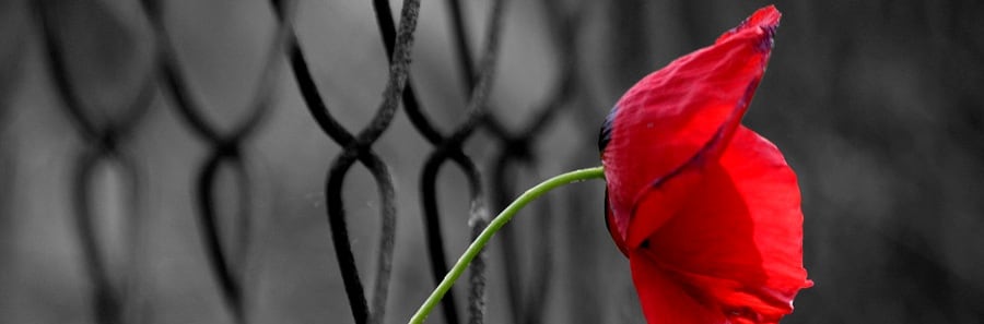 Si può amare la Chiesa così come umanamente è